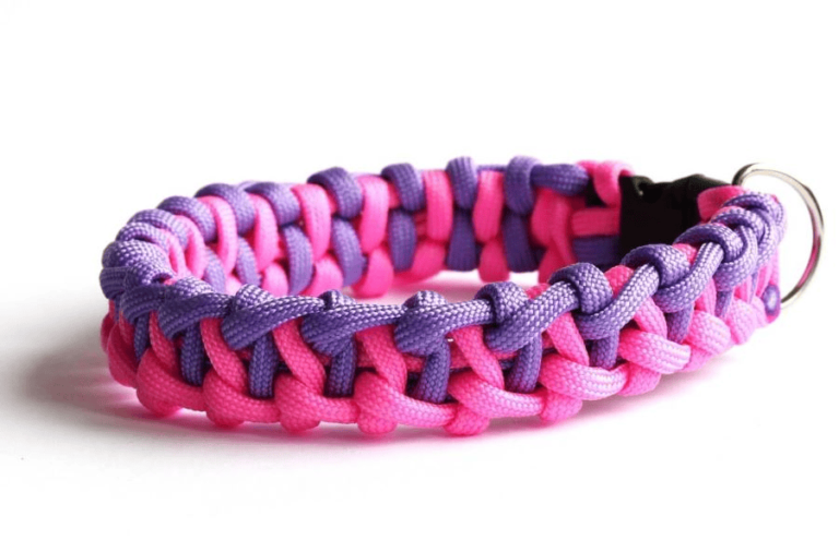 Paracord manufacturer: colored pink and violet woven paracord dog collar.