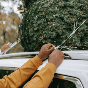 camping outdoor survival gear