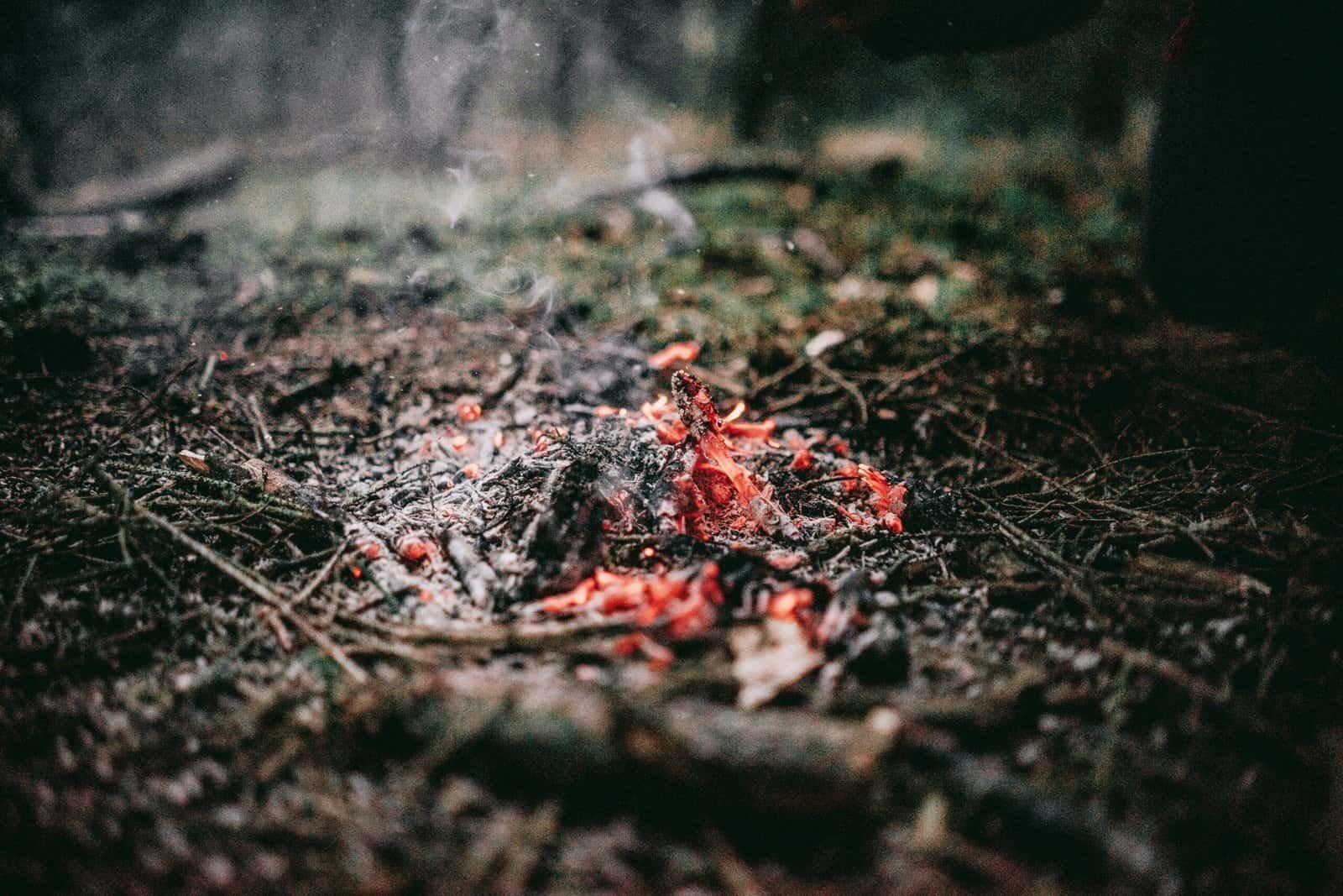 ferro rod sebastian pociecha l yvYpVD7zg unsplash scaled 1